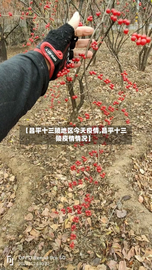 【昌平十三陵地区今天疫情,昌平十三陵疫情情况】