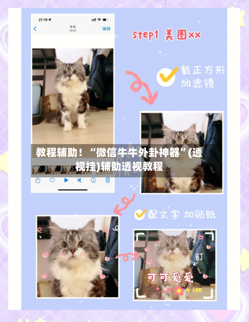 教程辅助！“微信牛牛外卦神器”(透视挂)辅助透视教程-第2张图片