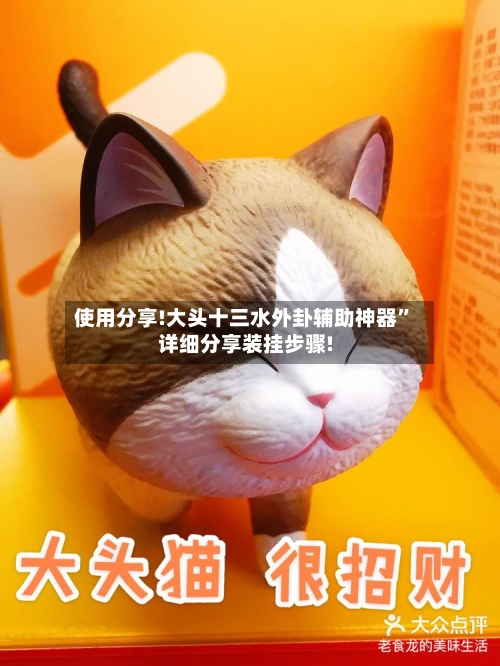 使用分享!大头十三水外卦辅助神器”详细分享装挂步骤!-第2张图片