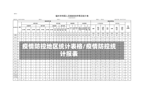 疫情防控地区统计表格/疫情防控统计报表-第3张图片