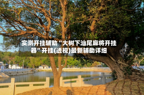 实测开挂辅助“大树下汕尾麻将开挂器”开挂(透视)最新辅助详细-第3张图片