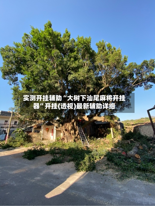 实测开挂辅助“大树下汕尾麻将开挂器”开挂(透视)最新辅助详细-第2张图片