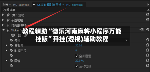 教程辅助“微乐河南麻将小程序万能挂版”开挂(透视)辅助教程-第2张图片