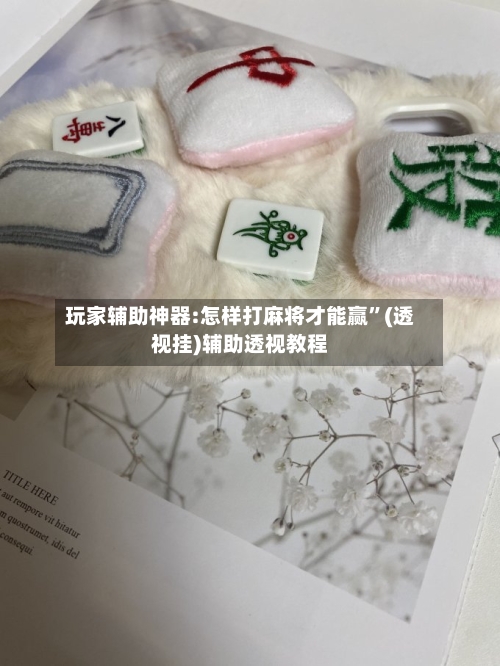 玩家辅助神器:怎样打麻将才能赢”(透视挂)辅助透视教程-第3张图片
