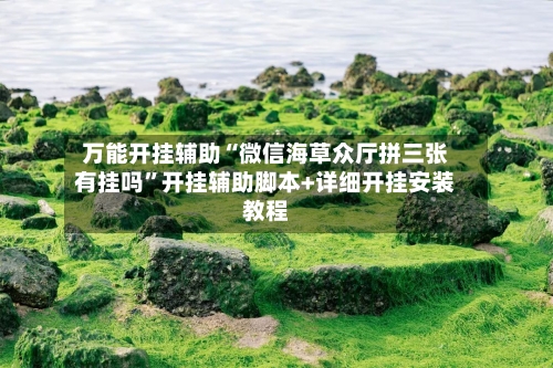 万能开挂辅助“微信海草众厅拼三张有挂吗”开挂辅助脚本+详细开挂安装教程
