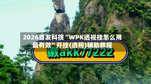 2026首发科技“WPK透视挂怎么用最有效”开挂(透视)辅助教程-第2张图片