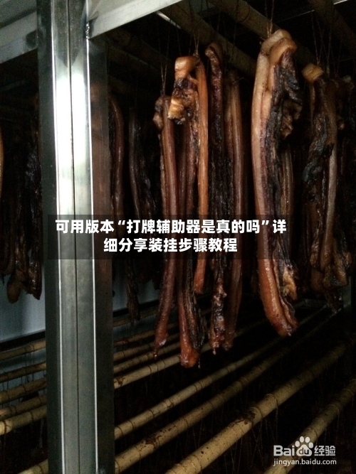 可用版本“打牌辅助器是真的吗”详细分享装挂步骤教程-第3张图片