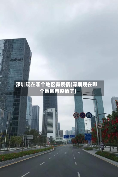 深圳现在哪个地区有疫情(深圳现在哪个地区有疫情了)-第3张图片