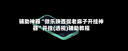辅助神器“微乐陕西捉老麻子开挂神器”开挂(透视)辅助教程