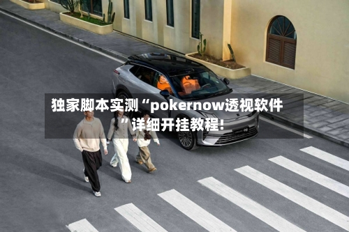独家脚本实测“pokernow透视软件	”详细开挂教程!-第2张图片
