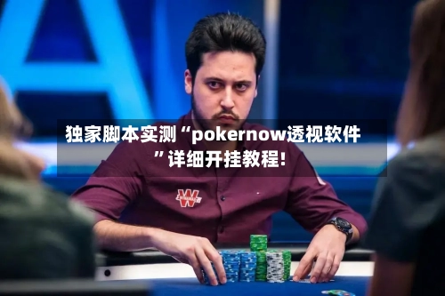 独家脚本实测“pokernow透视软件”详细开挂教程!-第3张图片