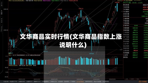 文华商品实时行情(文华商品指数上涨说明什么)