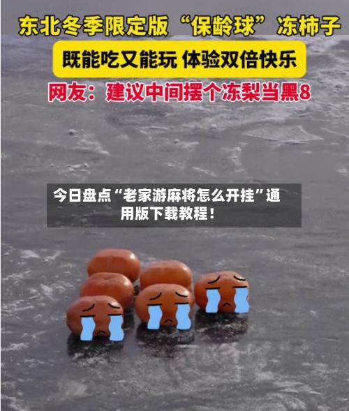 今日盘点“老家游麻将怎么开挂	”通用版下载教程！-第2张图片