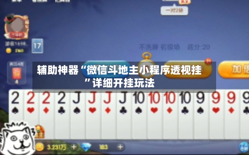 辅助神器“微信斗地主小程序透视挂”详细开挂玩法-第3张图片