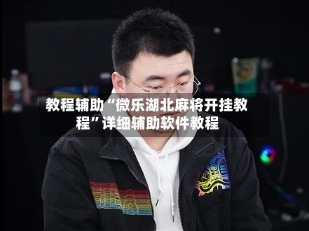 教程辅助“微乐湖北麻将开挂教程”详细辅助软件教程-第2张图片