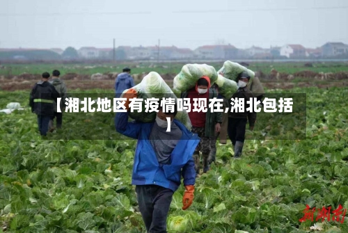 【湘北地区有疫情吗现在,湘北包括】