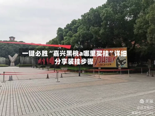 一键必胜“嘉兴黑桃a哪里买挂	”详细分享装挂步骤-第2张图片