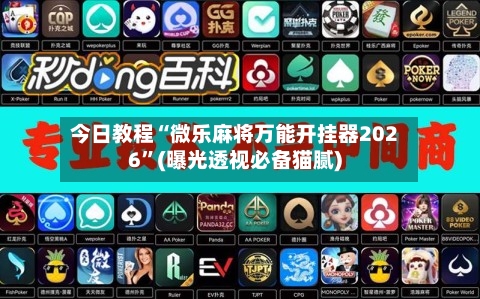 今日教程“微乐麻将万能开挂器2026”(曝光透视必备猫腻)-第3张图片