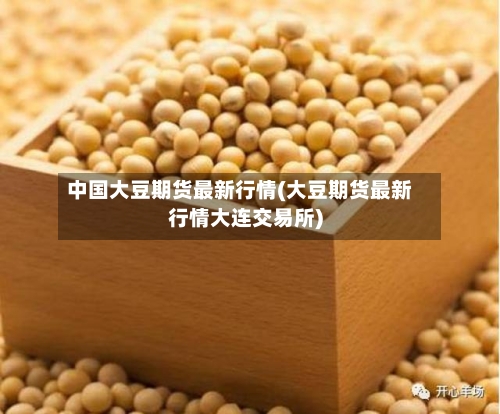 中国大豆期货最新行情(大豆期货最新行情大连交易所)