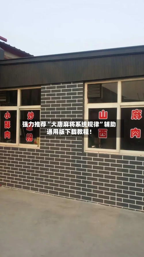 强力推荐“大唐麻将系统规律	”辅助通用版下载教程！-第2张图片