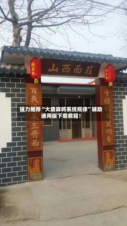 强力推荐“大唐麻将系统规律”辅助通用版下载教程！-第3张图片
