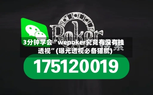 3分钟学会“wepoker究竟有没有挂透视”(曝光透视必备猫腻)-第2张图片