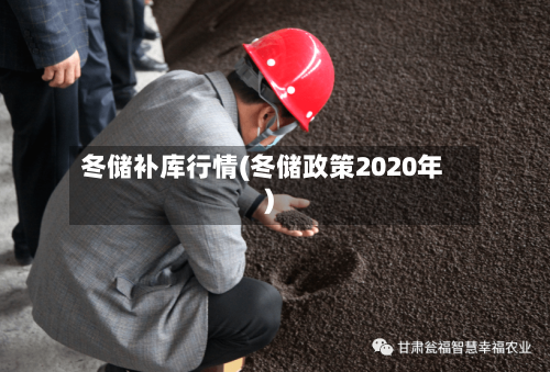 冬储补库行情(冬储政策2020年)