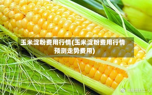玉米淀粉费用行情(玉米淀粉费用行情预测走势费用)