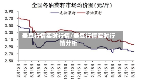 美豆行情实时行情/美豆行情实时行情分析-第3张图片