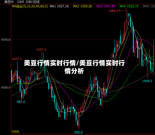 美豆行情实时行情/美豆行情实时行情分析