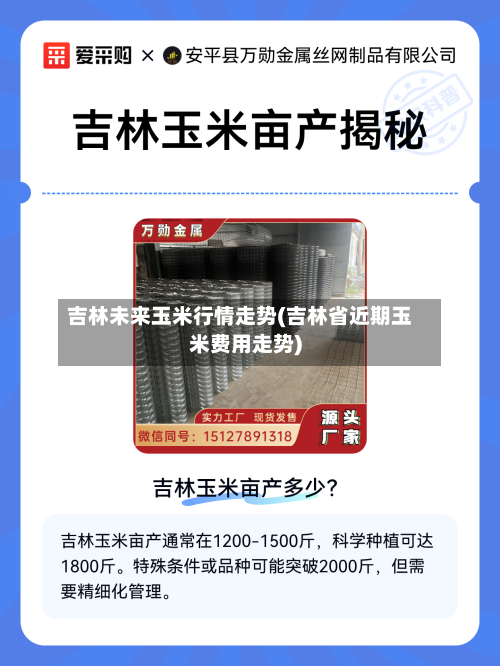 吉林未来玉米行情走势(吉林省近期玉米费用走势)