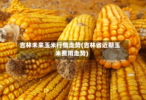 吉林未来玉米行情走势(吉林省近期玉米费用走势)-第3张图片