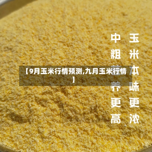【9月玉米行情预测,九月玉米行情】