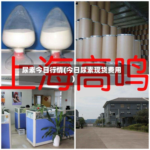 尿素今日行情(今日尿素现货费用)-第3张图片