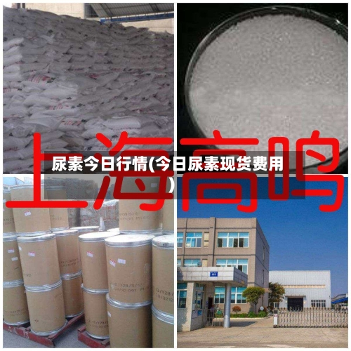 尿素今日行情(今日尿素现货费用)-第2张图片
