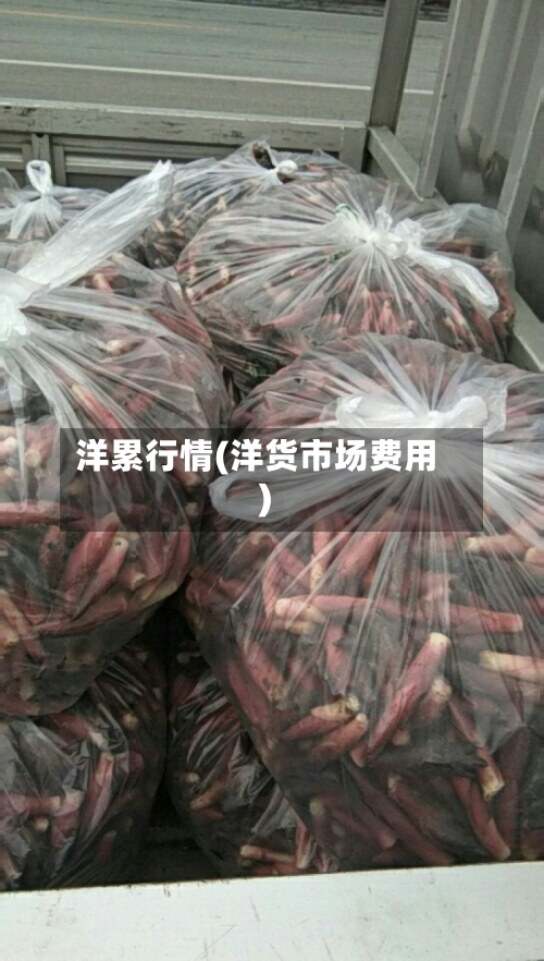 洋累行情(洋货市场费用)-第3张图片