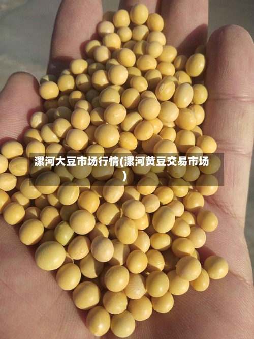 漯河大豆市场行情(漯河黄豆交易市场)