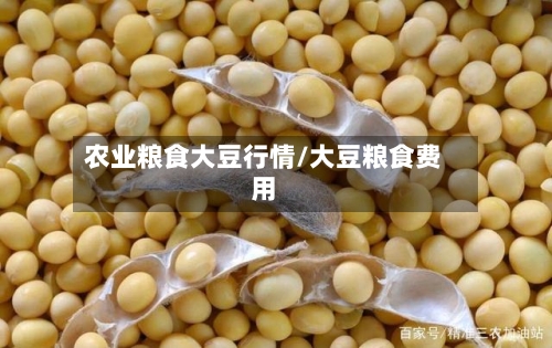 农业粮食大豆行情/大豆粮食费用