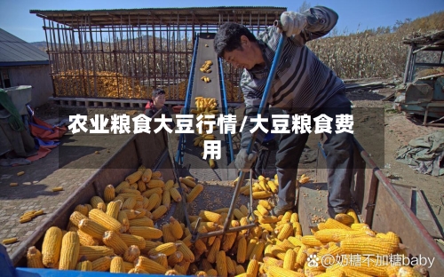 农业粮食大豆行情/大豆粮食费用-第2张图片