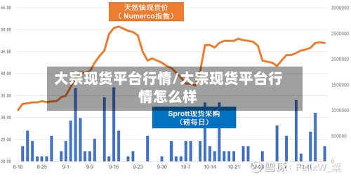大宗现货平台行情/大宗现货平台行情怎么样