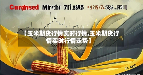 【玉米期货行情实时行情,玉米期货行情实时行情走势】