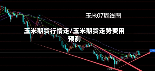 玉米期货行情走/玉米期货走势费用预测