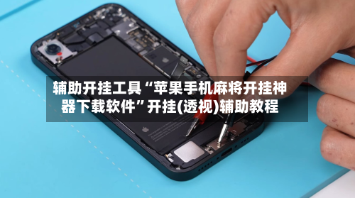 辅助开挂工具“苹果手机麻将开挂神器下载软件”开挂(透视)辅助教程-第3张图片