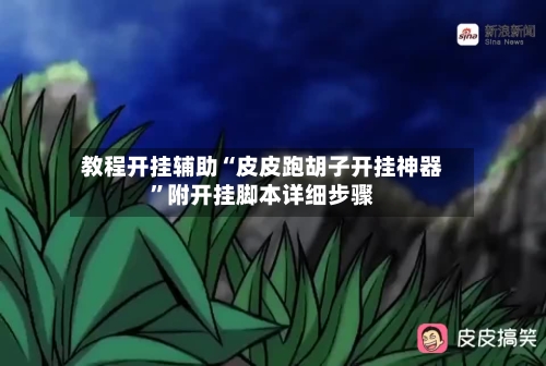 教程开挂辅助“皮皮跑胡子开挂神器”附开挂脚本详细步骤
