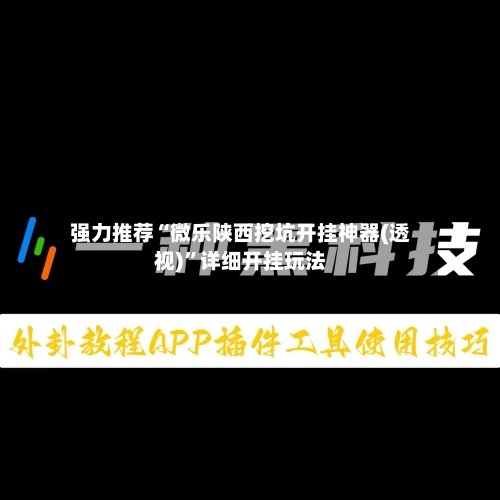 强力推荐“微乐陕西挖坑开挂神器(透视)”详细开挂玩法-第3张图片