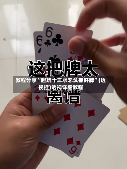 教程分享“趣玩十三水怎么抓好牌	”(透视挂)透视详细教程-第3张图片