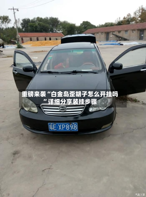 重磅来袭“白金岛歪胡子怎么开挂吗”详细分享装挂步骤-第2张图片