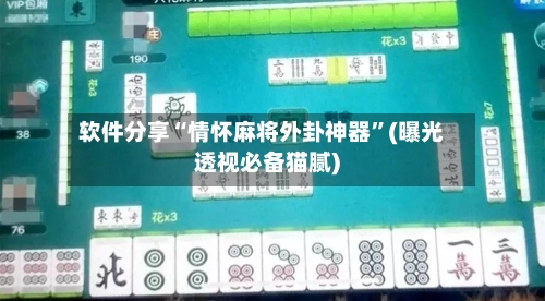 软件分享“情怀麻将外卦神器”(曝光透视必备猫腻)-第3张图片