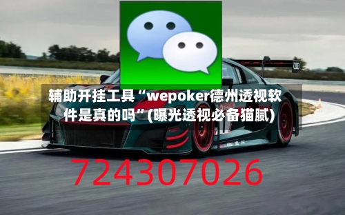 辅助开挂工具“wepoker德州透视软件是真的吗	”(曝光透视必备猫腻)-第2张图片