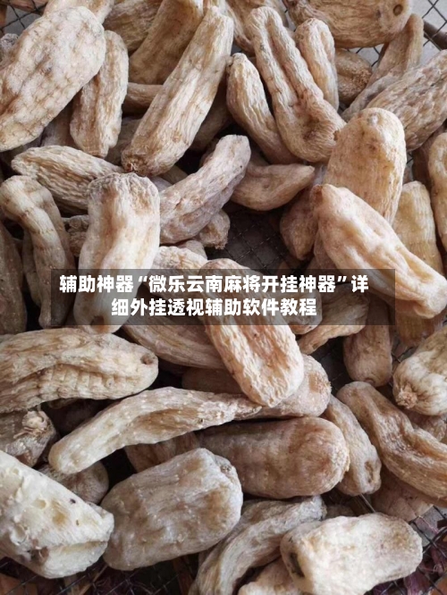 辅助神器“微乐云南麻将开挂神器”详细外挂透视辅助软件教程-第3张图片